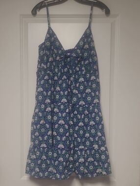 Sleeveless Blue Floral Sundress